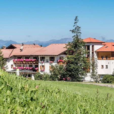 Hotel Peter بيتيرسبيرغ المظهر الخارجي الصورة