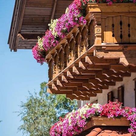 Hotel Peter بيتيرسبيرغ المظهر الخارجي الصورة