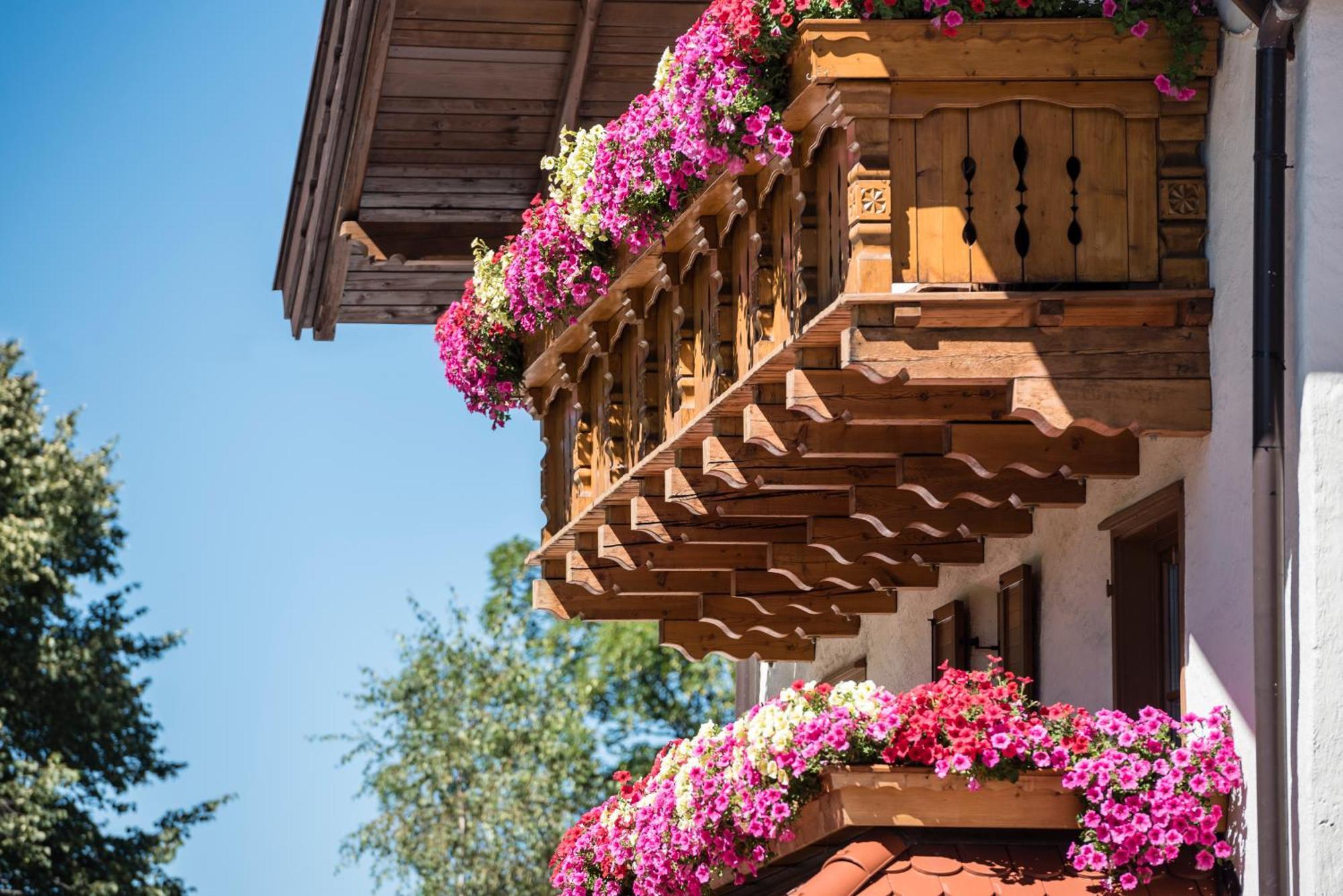 Hotel Peter بيتيرسبيرغ المظهر الخارجي الصورة